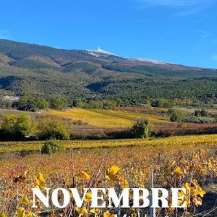 PROGRAMME DES SORTIES DE NOVEMBRE 2026